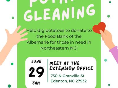Potato Gleaning — June 29, 8 AM; meet at Extension Office, 730 N Granville St, Edenton, NC