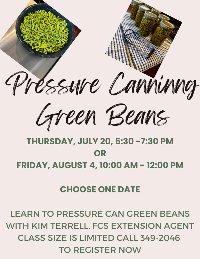 Pressure Canning Green Beans Flyer