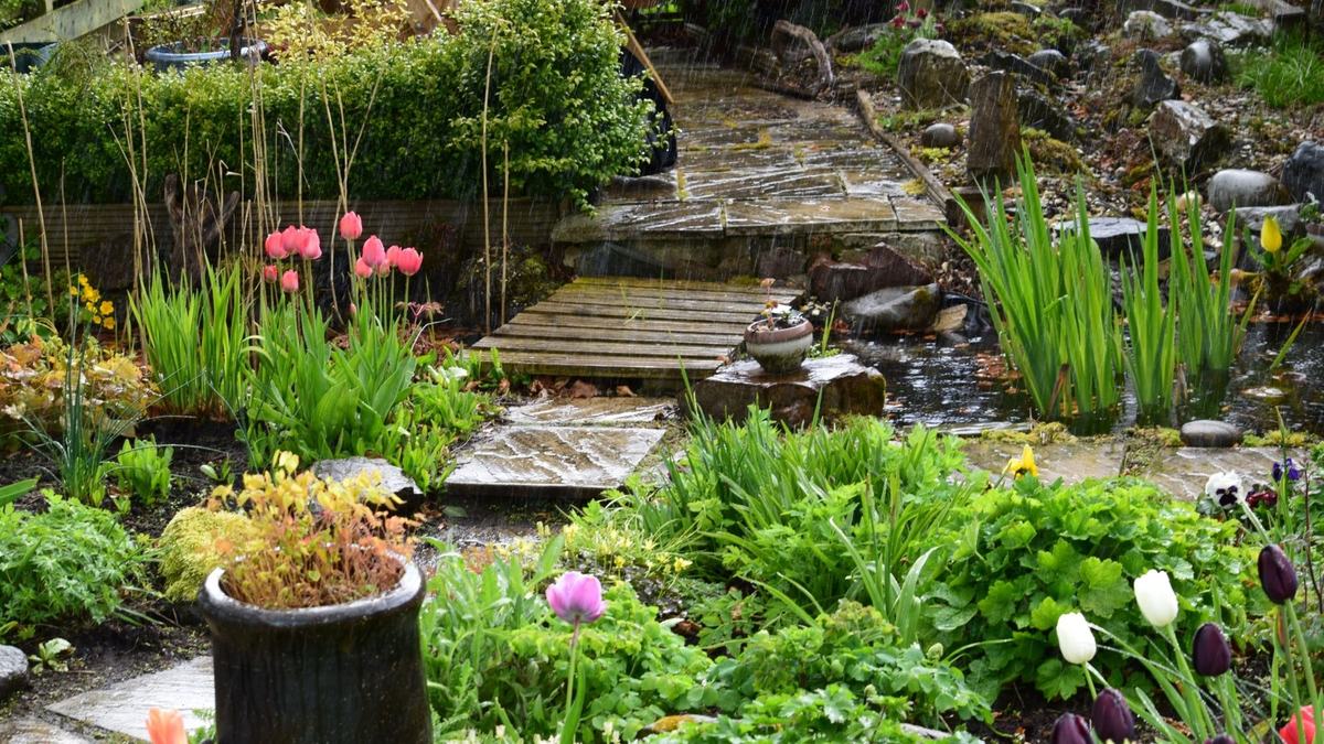 Outdoor garden with a walkway in the rain