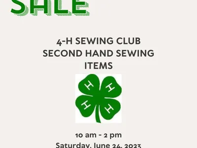 Sidewalk Sale Flyer