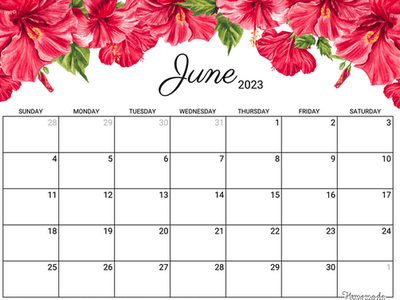 June 2023 calendar grid with blank date boxes and red hibiscus flowers along top