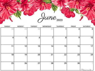 June 2023 calendar grid with blank date boxes and red hibiscus flowers along top