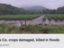 Flooded crop fields with standing water; headline: Polk Co. crops damaged, killed in floods