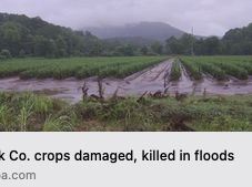 Flooded crop fields with standing water; headline: Polk Co. crops damaged, killed in floods