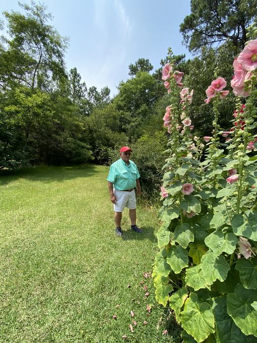 Man standing beside flowering roses.