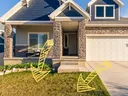 Yellow and brown lawn