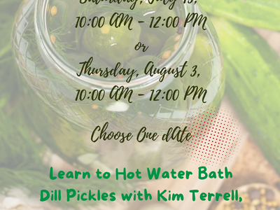 Water Bath CAnning Dill Pickles