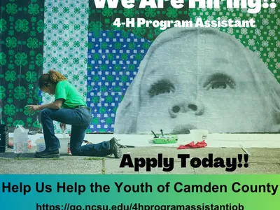 We are hiring