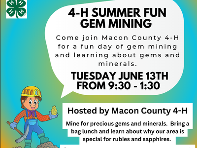 4-H Summer Gem Mining