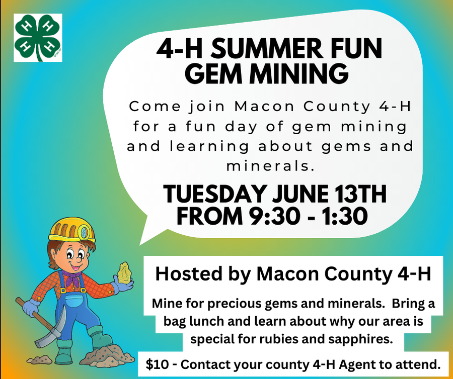 4-H Summer Gem Mining