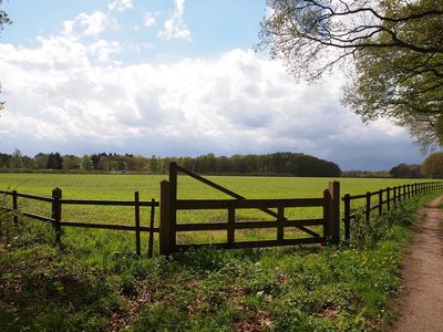 landscape of a pasture Image by Aritha from Pixabayjpg