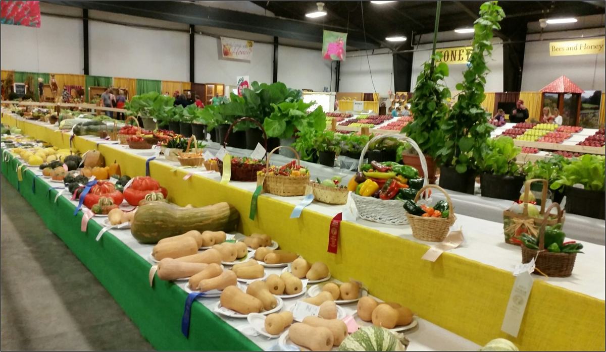 state fair vegetable entries