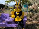 Person in yellow-and-black bee mascot costume sitting cross-legged on purple bench in garden