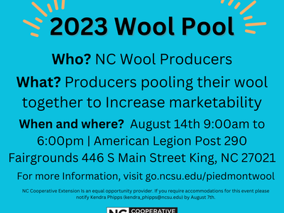 wool pool information