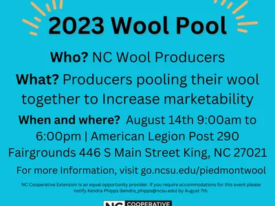 wool pool information
