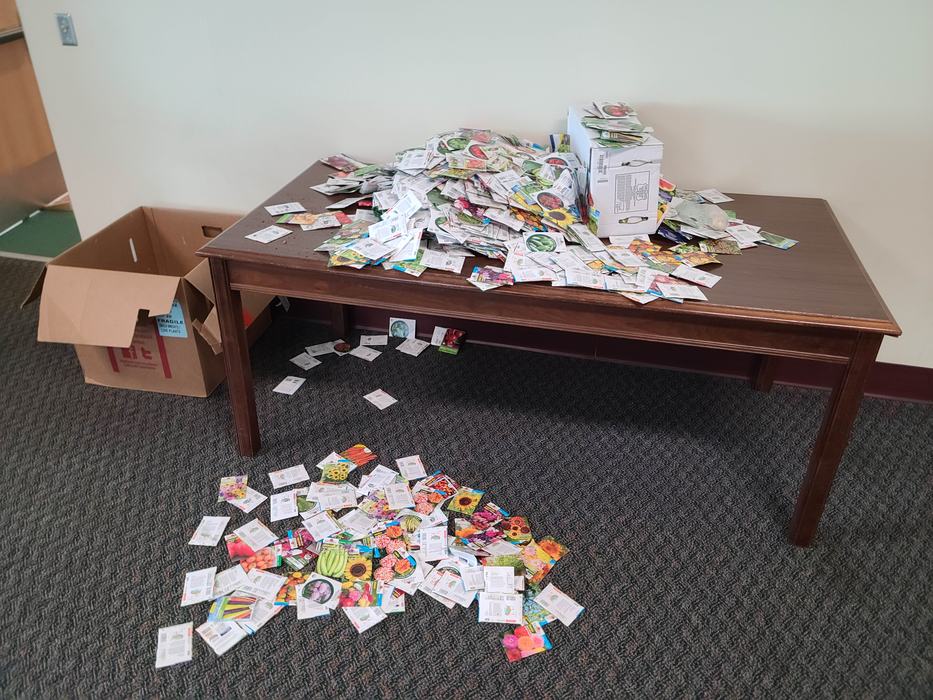 Seed sorting with the Extension Master Gardener volunteers