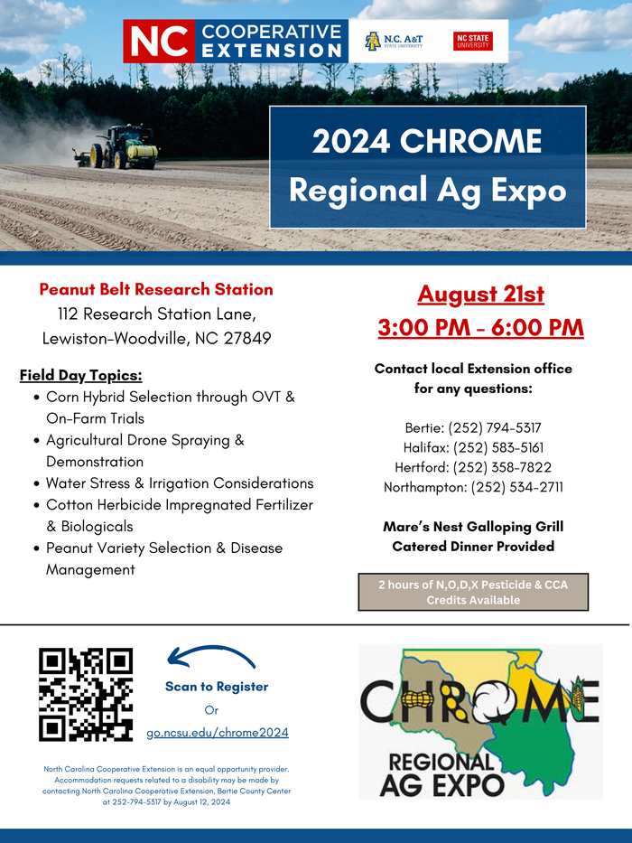 Chrome Poster