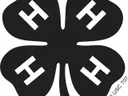 Four-leaf clover logo, each leaf contains a white "H"; small tilted text "4-H US CTF"