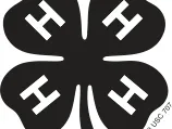 Four-leaf clover logo, each leaf contains a white "H"; small tilted text "4-H US CTF"