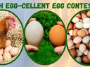 4-H Egg-Cellent Egg Contest