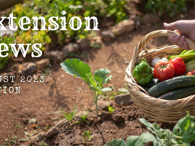 August 2023 Extension News