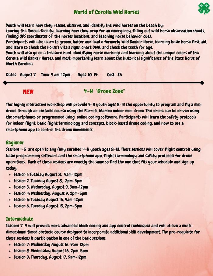 Currituck 4-H Summer Fund Camp Information