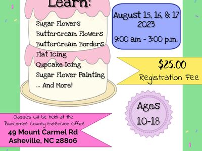 Cake Decorating Mini-Series