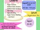 Cake Decorating Mini-Series