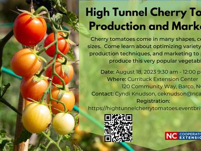 High tunnel cherry tomato production and marketing