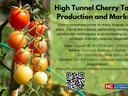 High tunnel cherry tomato production and marketing