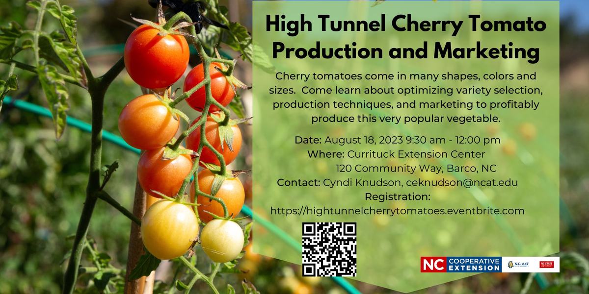 High tunnel cherry tomato production and marketing