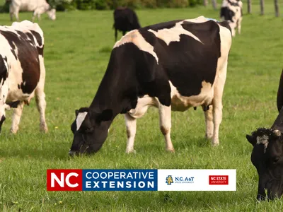 dairy tour