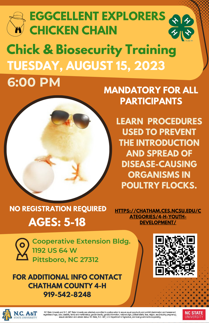 Eggcellent Explorers Chicken Chain