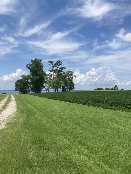The field in Plymouth, NC- Jared Butler