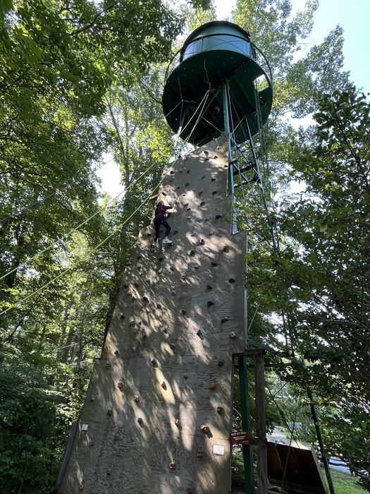 Tree-climbing at 4-H Camp
