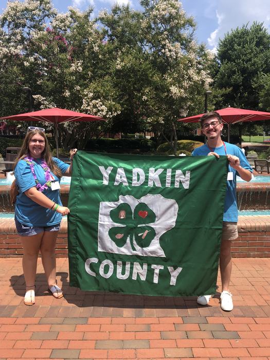 Yadkin County 4-H Flag.