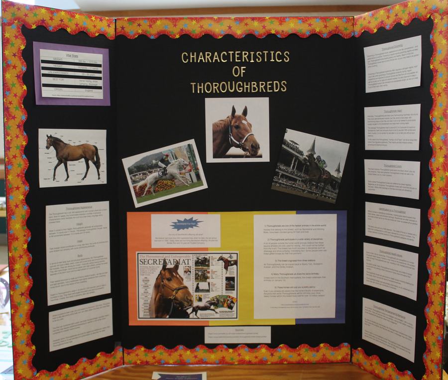 Tri-fold display board titled "CHARACTERISTICS OF THOROUGHBREDS" with horse photos and text.