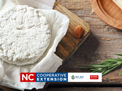 learn to make cheese