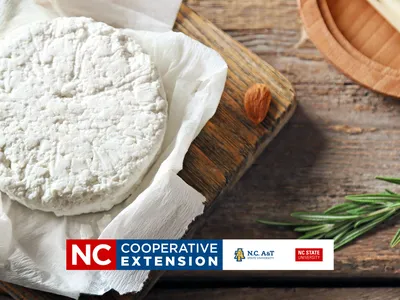 learn to make cheese