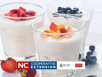 making yogurt