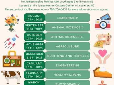4-H Homeschool Series flyer