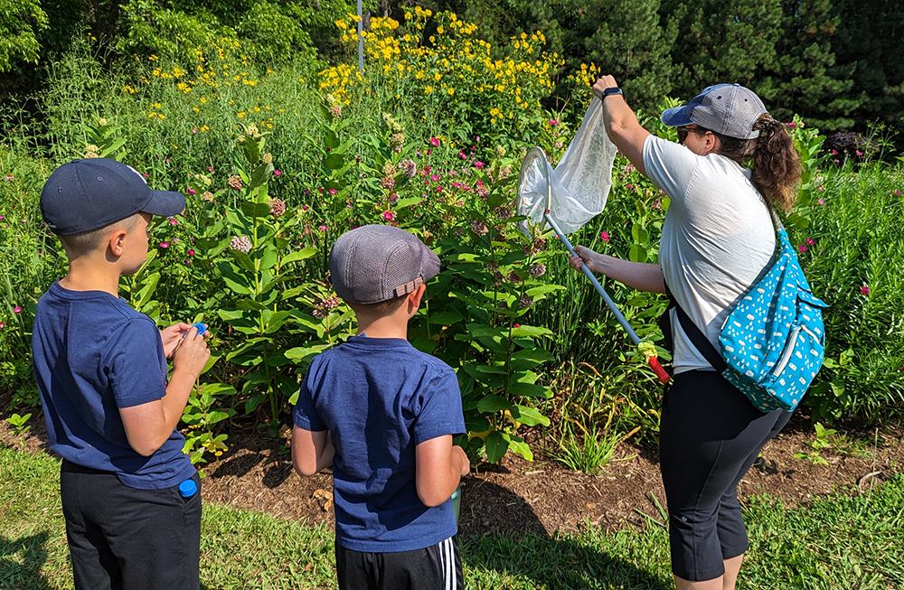 practicing capturing bumble bees