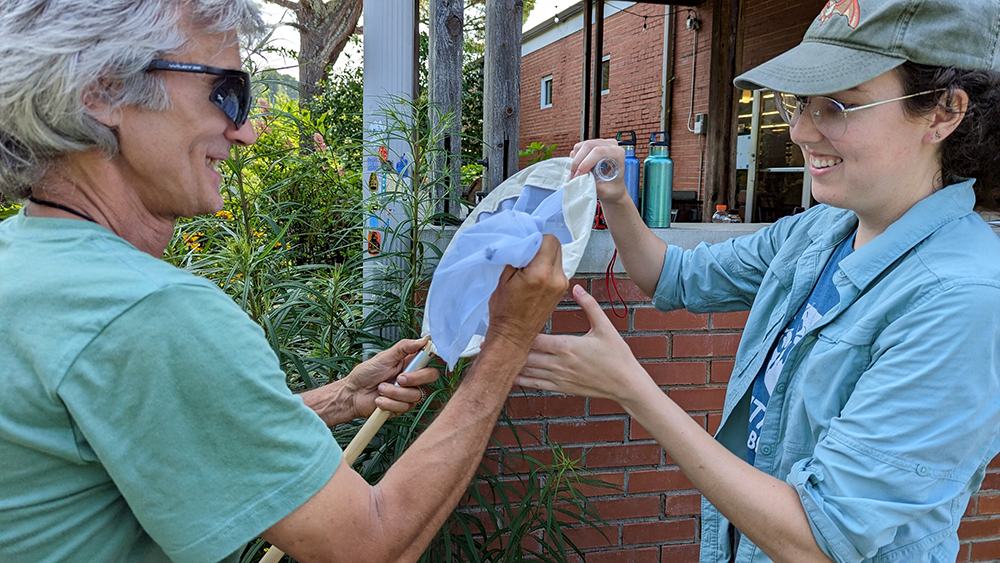 participants practice netting bumble bees