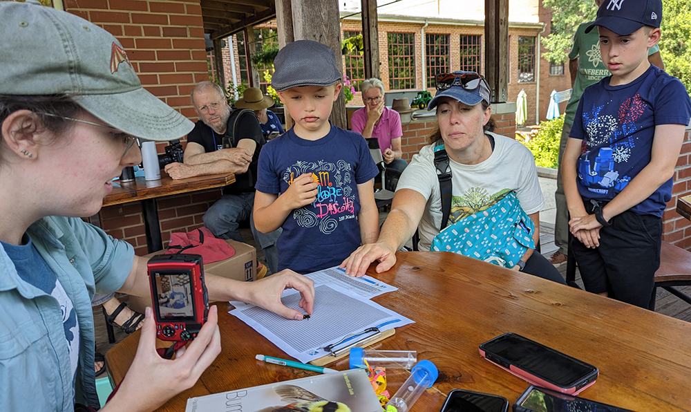 Laurie explains how to take photos of the bees from different angles to be able to identify to species.