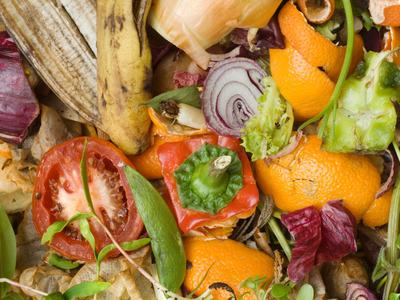 various vegetables in various states of decomposition