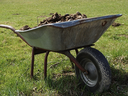 Metal wheelbarrow filled with manure resting on grass