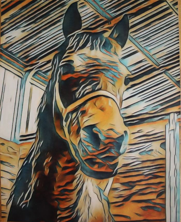 Horse head close-up with halter inside a barn, stylized painted effect