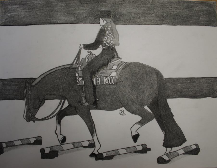 Rider in western attire on a horse stepping over ground poles; saddle number "200"