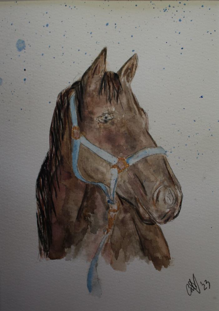Watercolor painting of a brown horse head wearing a blue halter, signed "'23".
