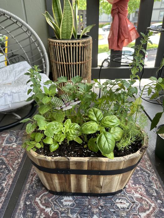 container garden 
